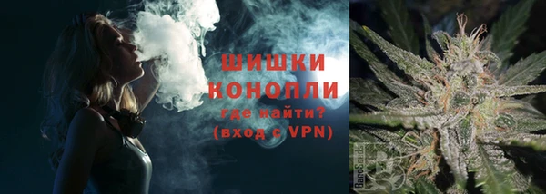 мяу мяу мука Беломорск