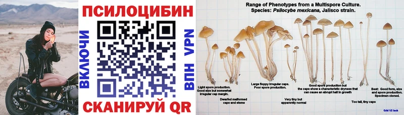 Галлюциногенные грибы мицелий  darknet телеграм  Ковдор 